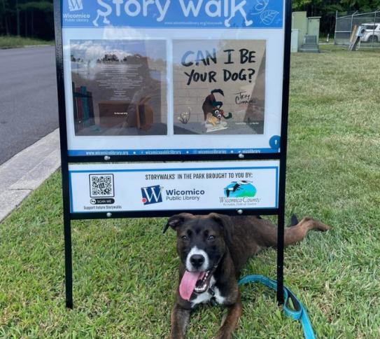 StoryWalk Humane Society picture with a cute dog