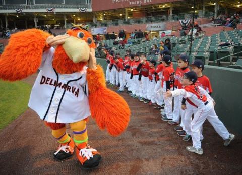 Delmarva Shorebirds Mascot, Sherman, posing with young baseball players.