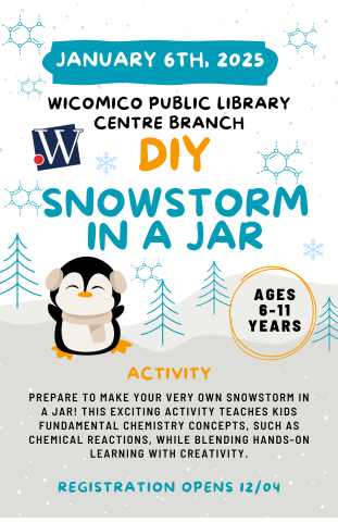 DIY Snowstorm In a Jar Program Flyer