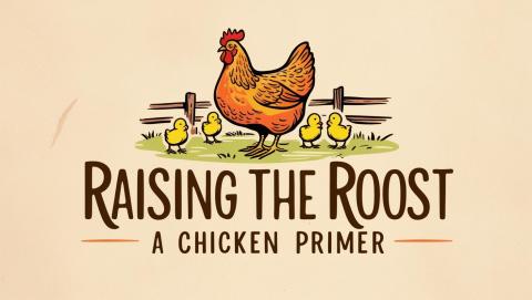 Raising the Roost