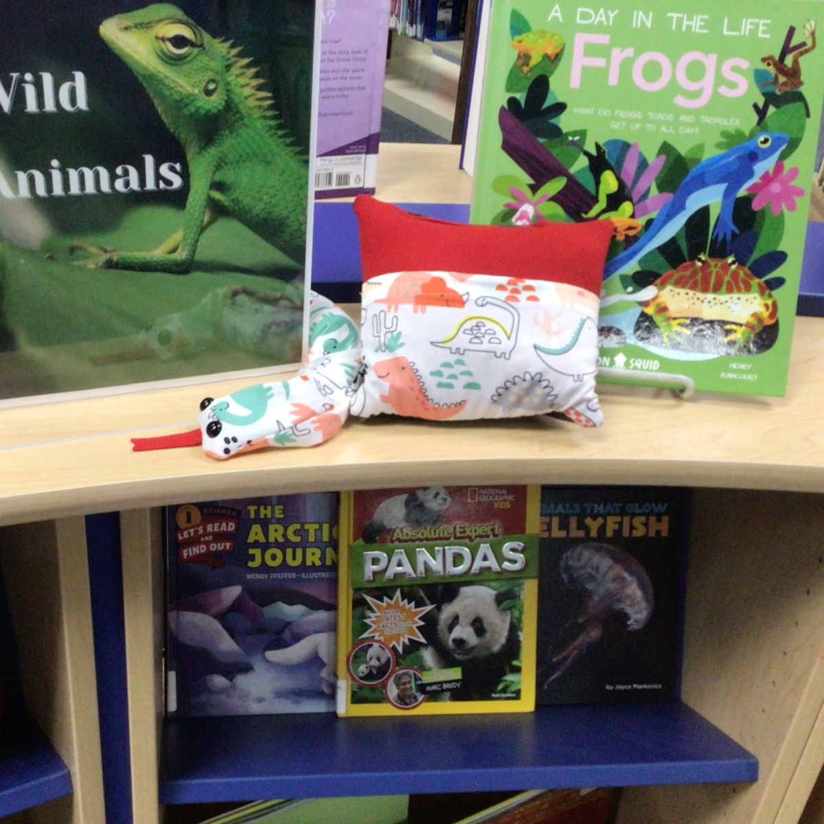 stuffed snake & pillow in front of books